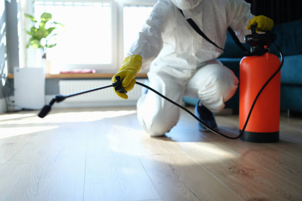 Reliable Odor Removal contractor in Brunswick, ME by Trauma Clean Pros